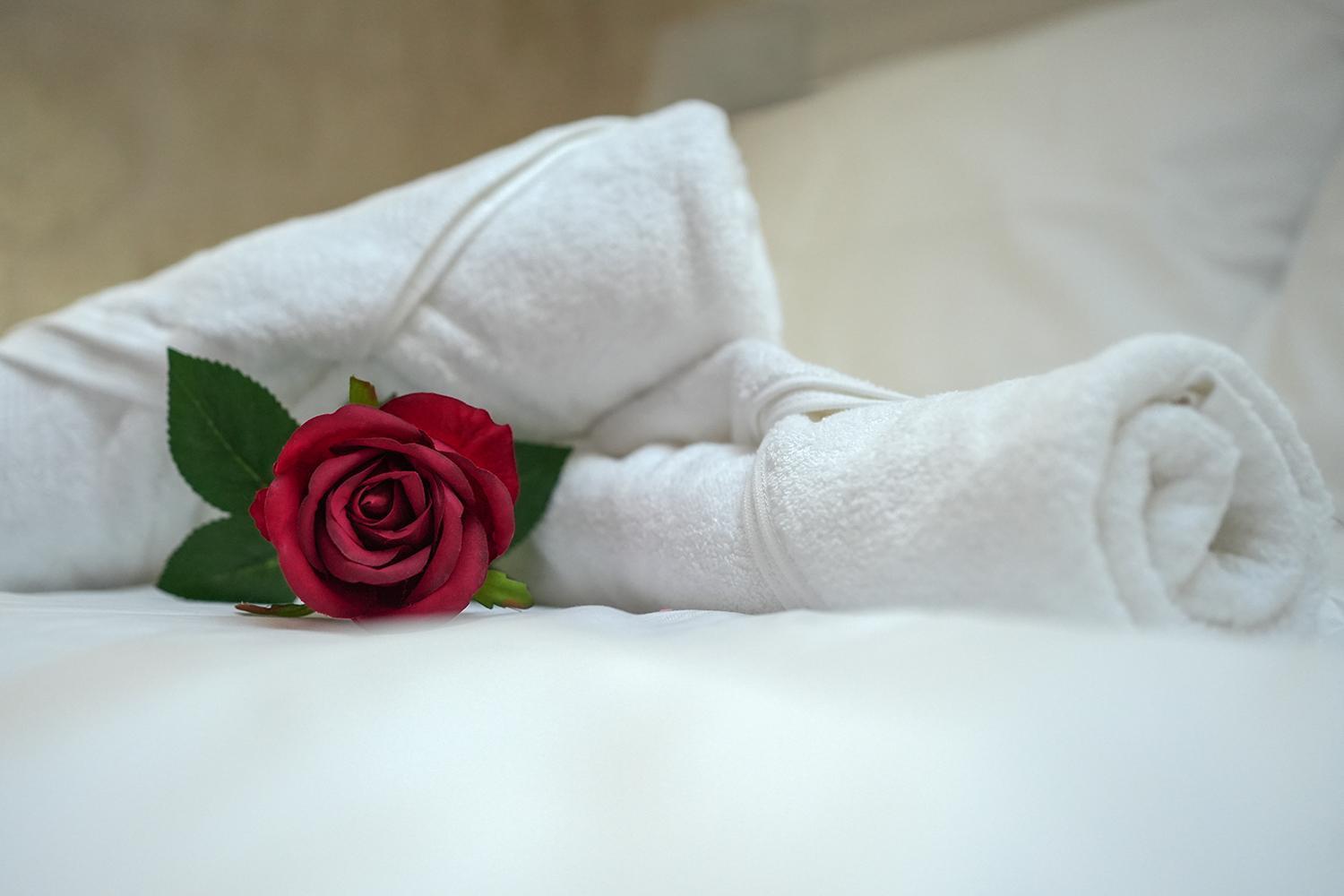 Evasion Chic, Spa Et Sauna Sous Les Toits نانسي المظهر الخارجي الصورة